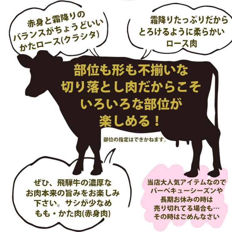 飛騨牛 切り落とし 焼肉 400g×1パック