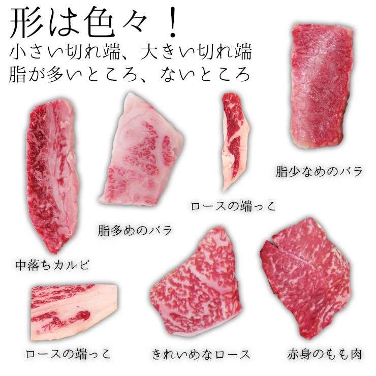 飛騨牛 切り落とし 焼肉 400g×1パック