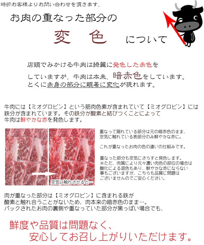 飛騨牛 切り落とし 焼肉 400g×1パック