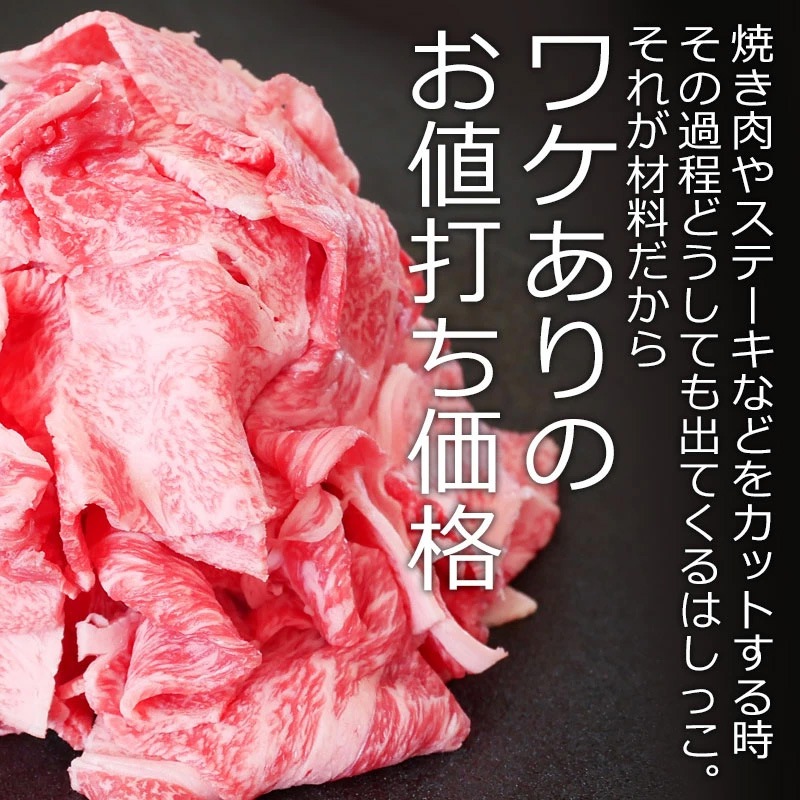 飛騨牛 切り落とし 250g