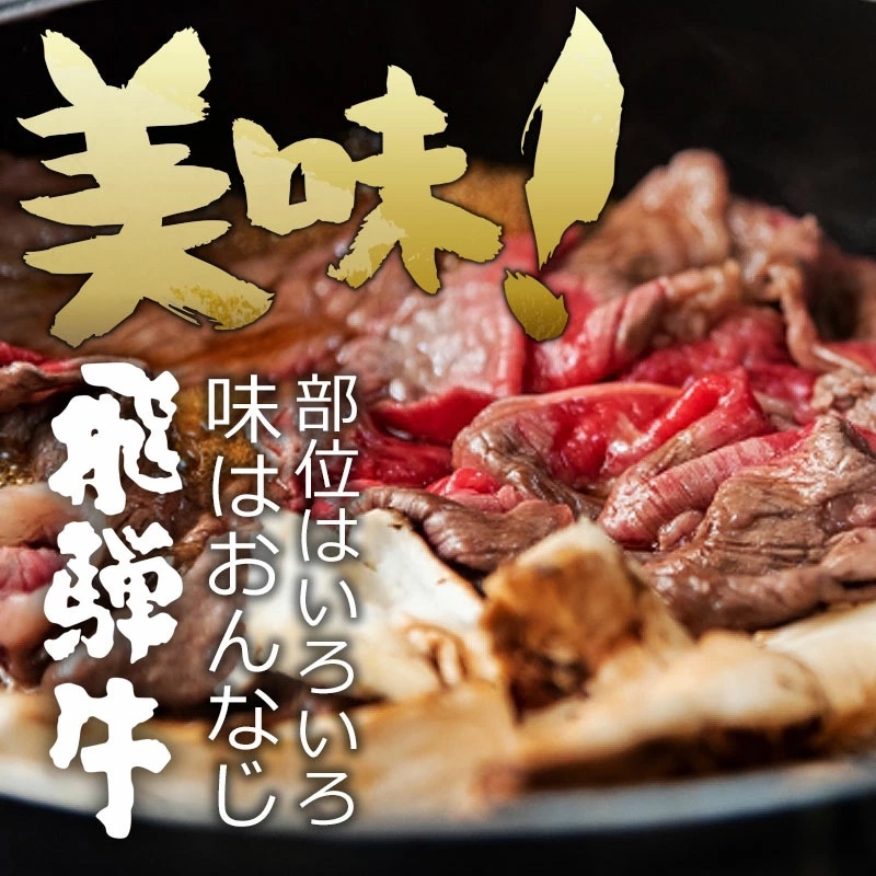 飛騨牛 切り落とし 250g