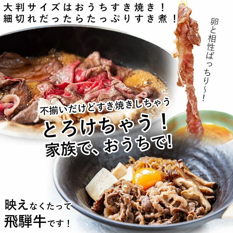 飛騨牛 切り落とし 250g