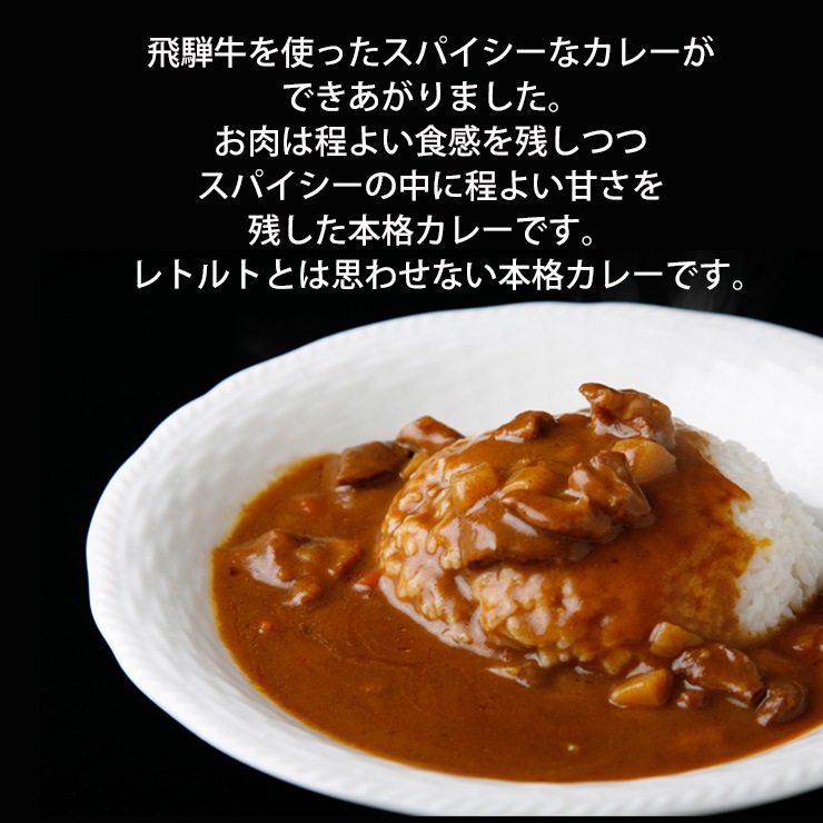 飛騨牛 カレーギフト 220g×4箱 化粧箱入 送料無料 内祝 肉 黒毛和牛 ブランド牛 牛肉 和牛 カレー 進物 プレゼント ギフト プチギフト 景品 レトルト 食べ物 ひぐちのギフト お取り寄せグルメ