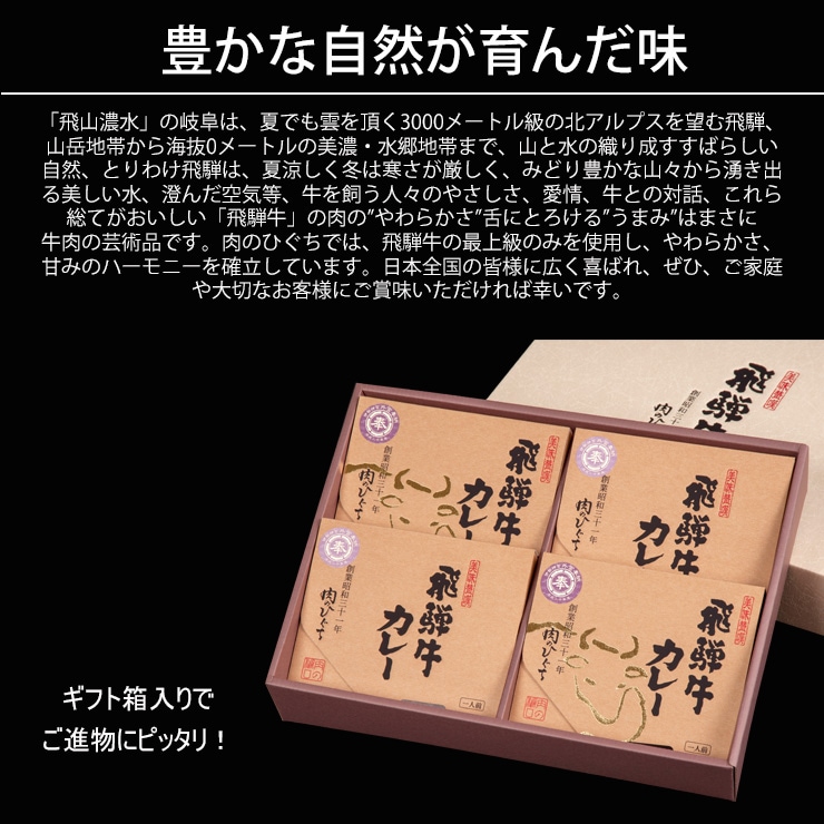 飛騨牛 カレーギフト 220g×4箱 化粧箱入 送料無料 内祝 肉 黒毛和牛 ブランド牛 牛肉 和牛 カレー 進物 プレゼント ギフト プチギフト 景品 レトルト 食べ物 ひぐちのギフト お取り寄せグルメ