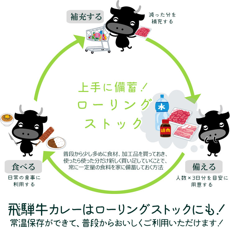 飛騨牛 カレーギフト 220g×4箱 化粧箱入 送料無料 内祝 肉 黒毛和牛 ブランド牛 牛肉 和牛 カレー 進物 プレゼント ギフト プチギフト 景品 レトルト 食べ物 ひぐちのギフト お取り寄せグルメ
