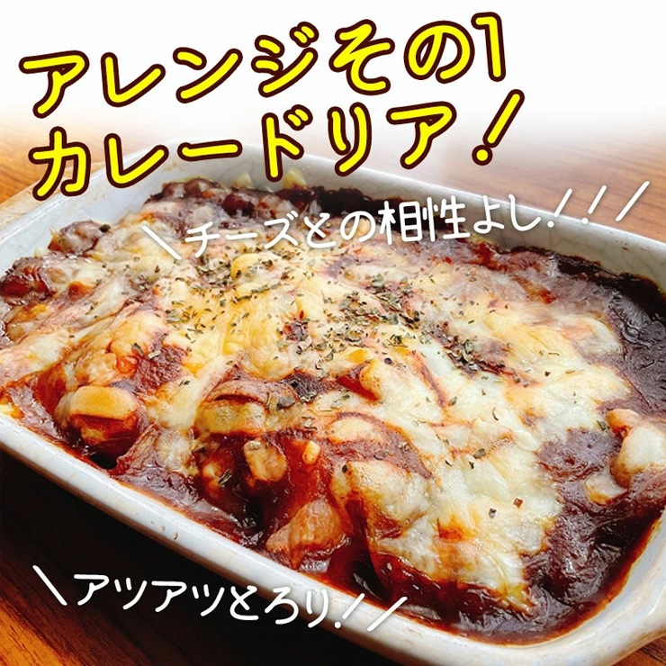 ご当地 グルメ 飛騨牛カレー & ボーノポークぎふポークカレー ギフトセット 各220g×2食 合計4食入 送料無料