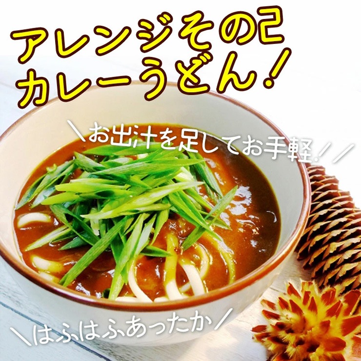 ご当地 グルメ 飛騨牛カレー & ボーノポークぎふポークカレー ギフトセット 各220g×2食 合計4食入 送料無料