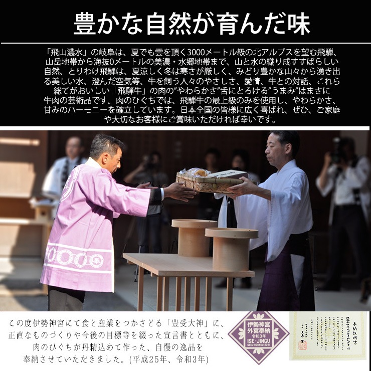 ご当地 グルメ 飛騨牛カレー & ボーノポークぎふポークカレー ギフトセット 各220g×2食 合計4食入 送料無料