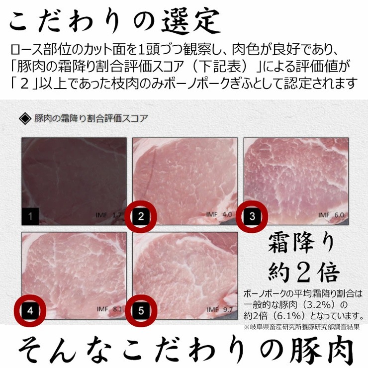 ご当地 グルメ 飛騨牛カレー & ボーノポークぎふポークカレー ギフトセット 各220g×2食 合計4食入 送料無料