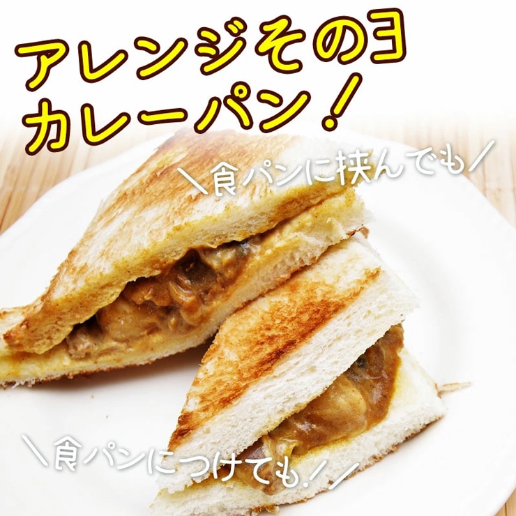 ご当地 グルメ ボーノポークぎふ 岐阜県 国産 ブランド豚 ポークカレー 220g入 4食 化粧箱入 ギフト ひぐちのギフト