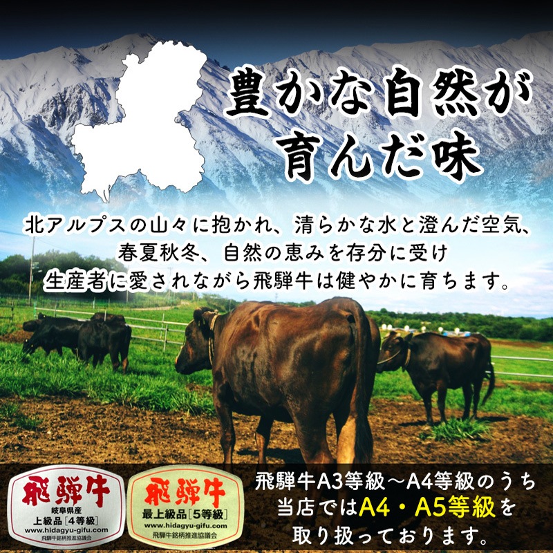 飛騨牛ステーキ100g×2枚+飛騨牛煮込みハンバーグ×2個  化粧箱入り いつもありがとう 日頃の感謝の贈り物に