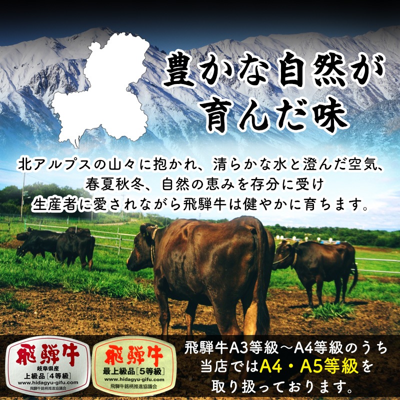 焼肉 《メガ盛り》 飛騨牛 カルビ 500g ＆ もも・かた（赤身） 500g 合計 1kg 焼肉用 送料無料