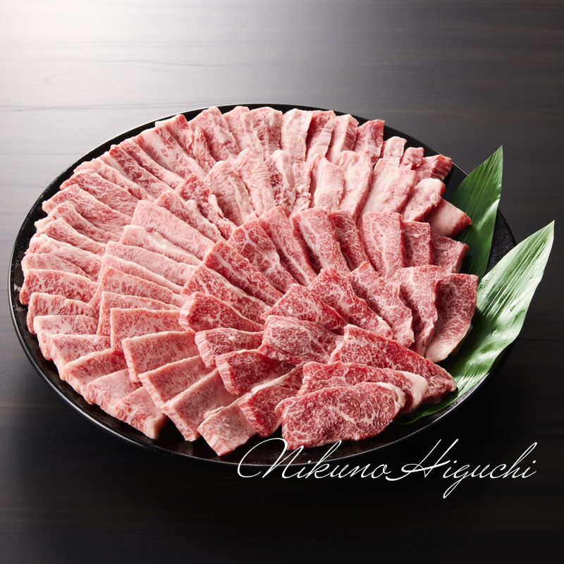 焼肉 《メガ盛り》 飛騨牛 カルビ 500g ＆ もも・かた（赤身） 500g 合計 1kg 焼肉用 送料無料