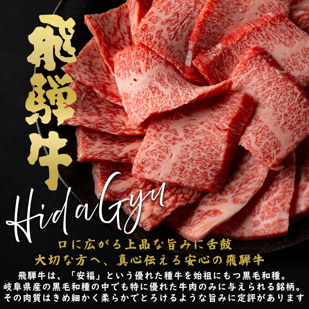 焼肉 《メガ盛り》 飛騨牛 カルビ 500g ＆ もも・かた（赤身） 500g 合計 1kg 焼肉用 送料無料