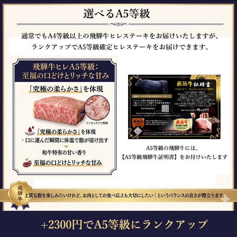 飛騨牛 ギフト ヒレステーキ 150g位×2 枚 ステーキソース付き 発砲スチロール＋化粧スリーブ入り