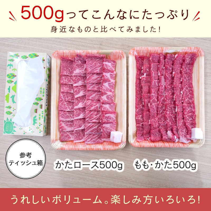 【送料無料】飛騨牛 焼肉 メガ盛り 1kg（かたロース500g＆赤身500g）A4・A5等級 食べ比べセット BBQ 焼き肉 お取り寄せ ギフト