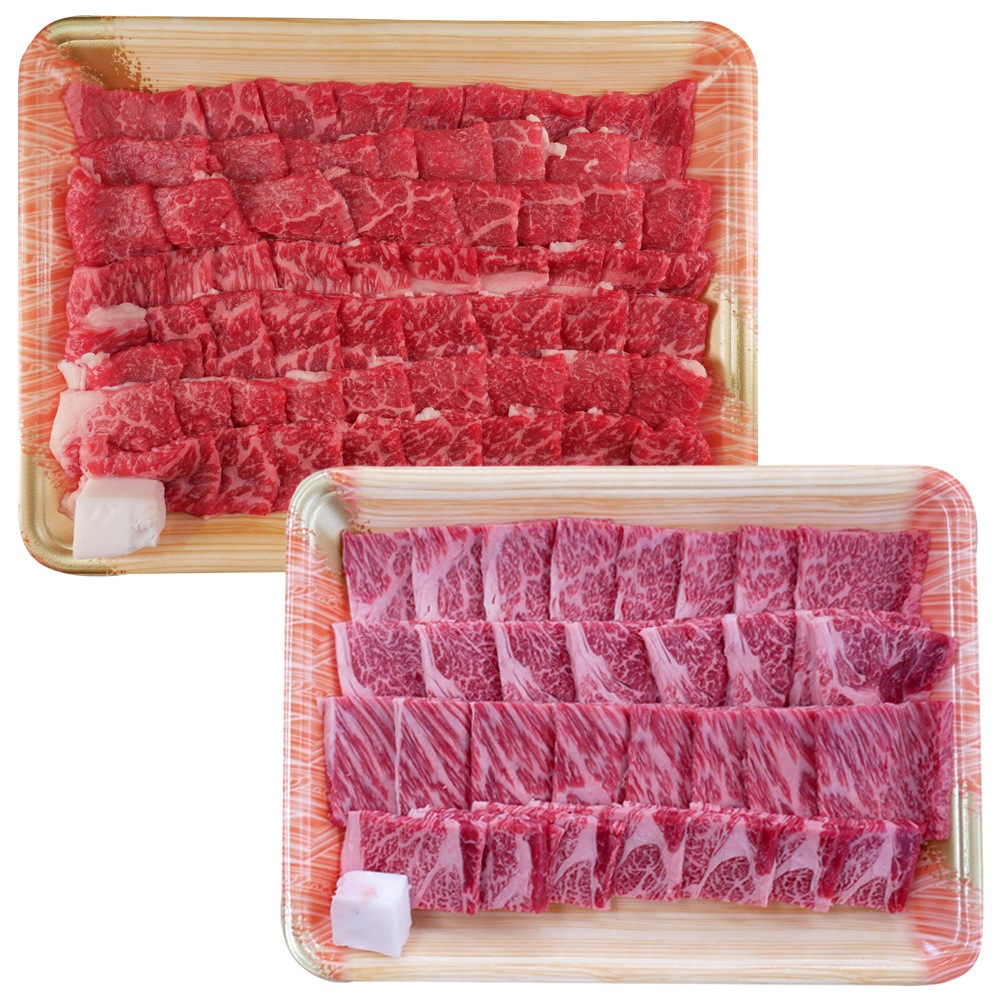 【送料無料】飛騨牛 焼肉 メガ盛り 1kg（かたロース500g＆赤身500g）A4・A5等級 食べ比べセット BBQ 焼き肉 お取り寄せ ギフト