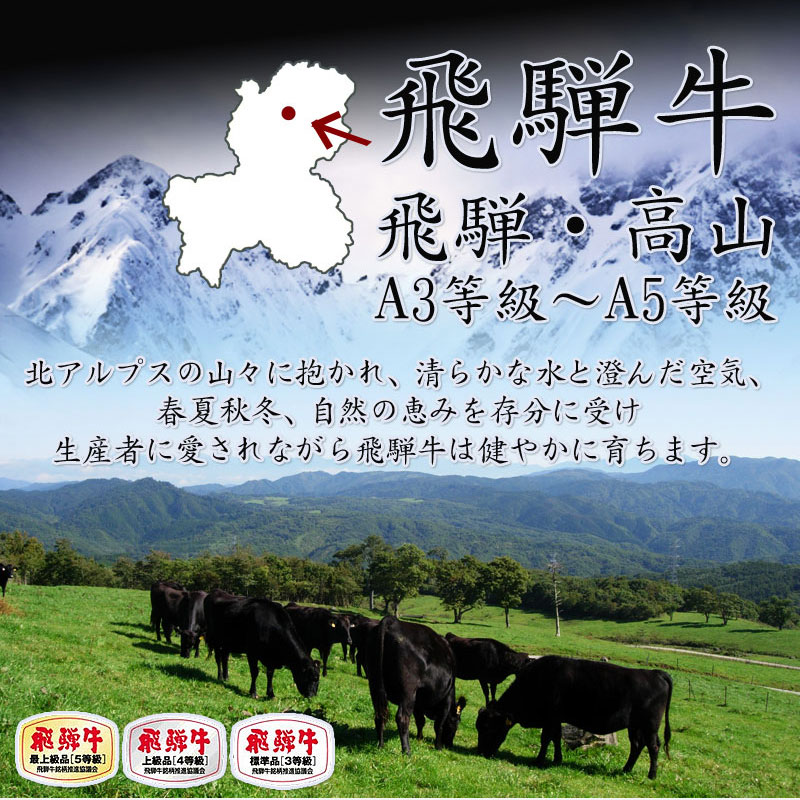 飛騨牛グルメセット　～美味三味～ コロッケ1袋、ミンチカツ1袋、生ハンバーグ3個 発砲スチロール・化粧箱入りギフトセット