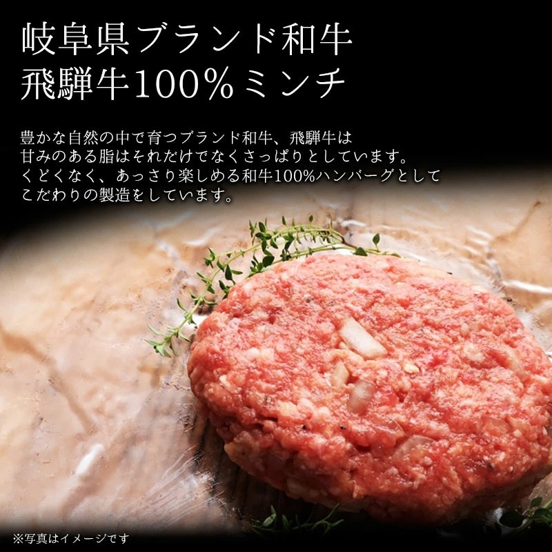 飛騨牛 2種のハンバーグセット 生ハンバーグ×2個・煮込みハンバーグ×2個 まとめ買い