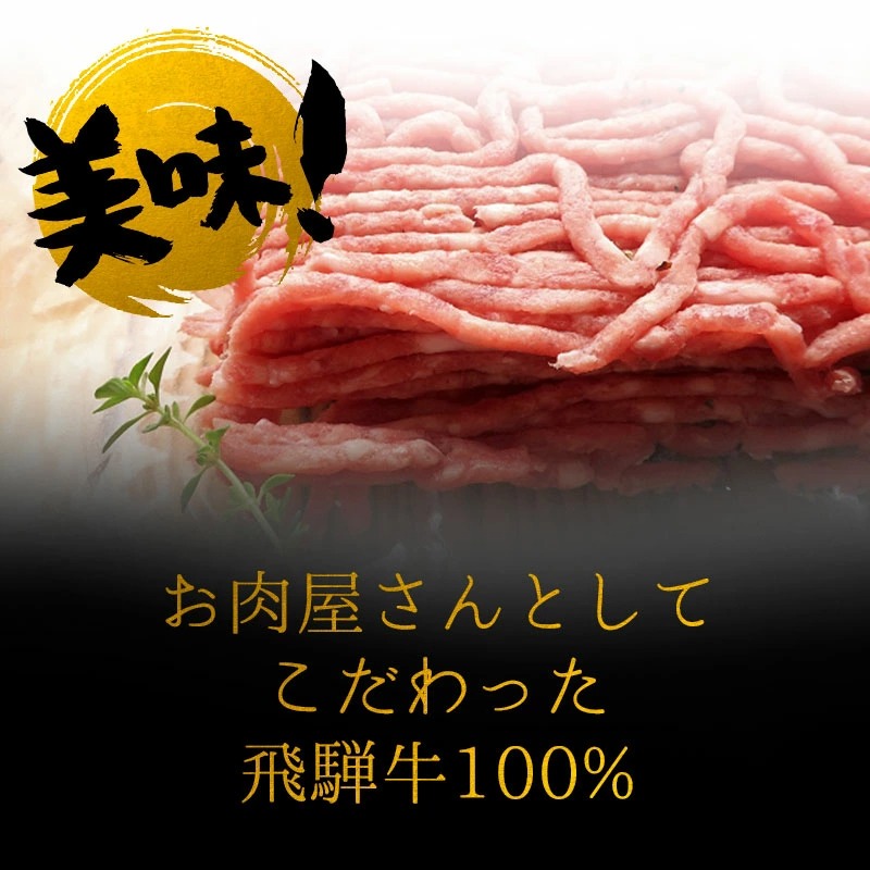 飛騨牛 2種のハンバーグセット 生ハンバーグ×2個・煮込みハンバーグ×2個 まとめ買い