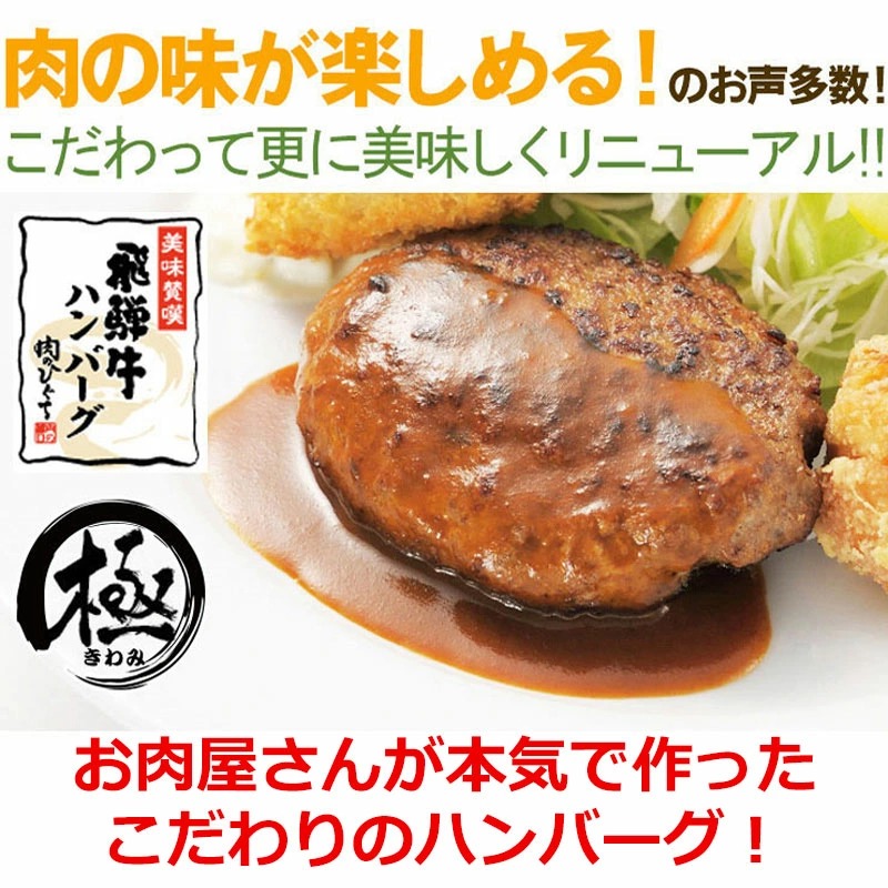 飛騨牛 2種のハンバーグセット 生ハンバーグ×2個・煮込みハンバーグ×2個 まとめ買い