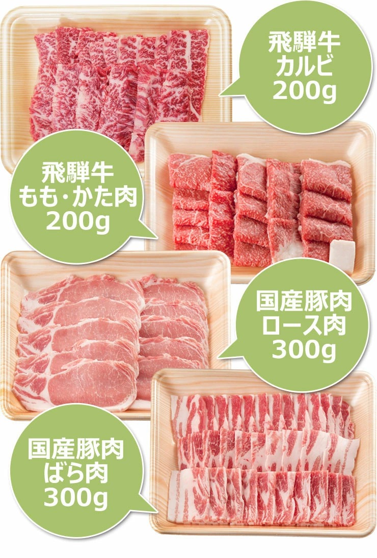 バーベキューセット 4～5人前 飛騨牛2種 国産豚肉2種 牛タン 合計1.2kgセット<br>