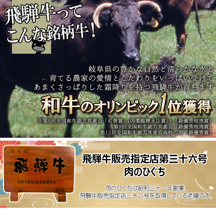 【送料無料】バーベキューセット 1.2kg（4～5人前）飛騨牛2種＆国産豚2種＆厚切り牛タン BBQ 焼肉 肉セット