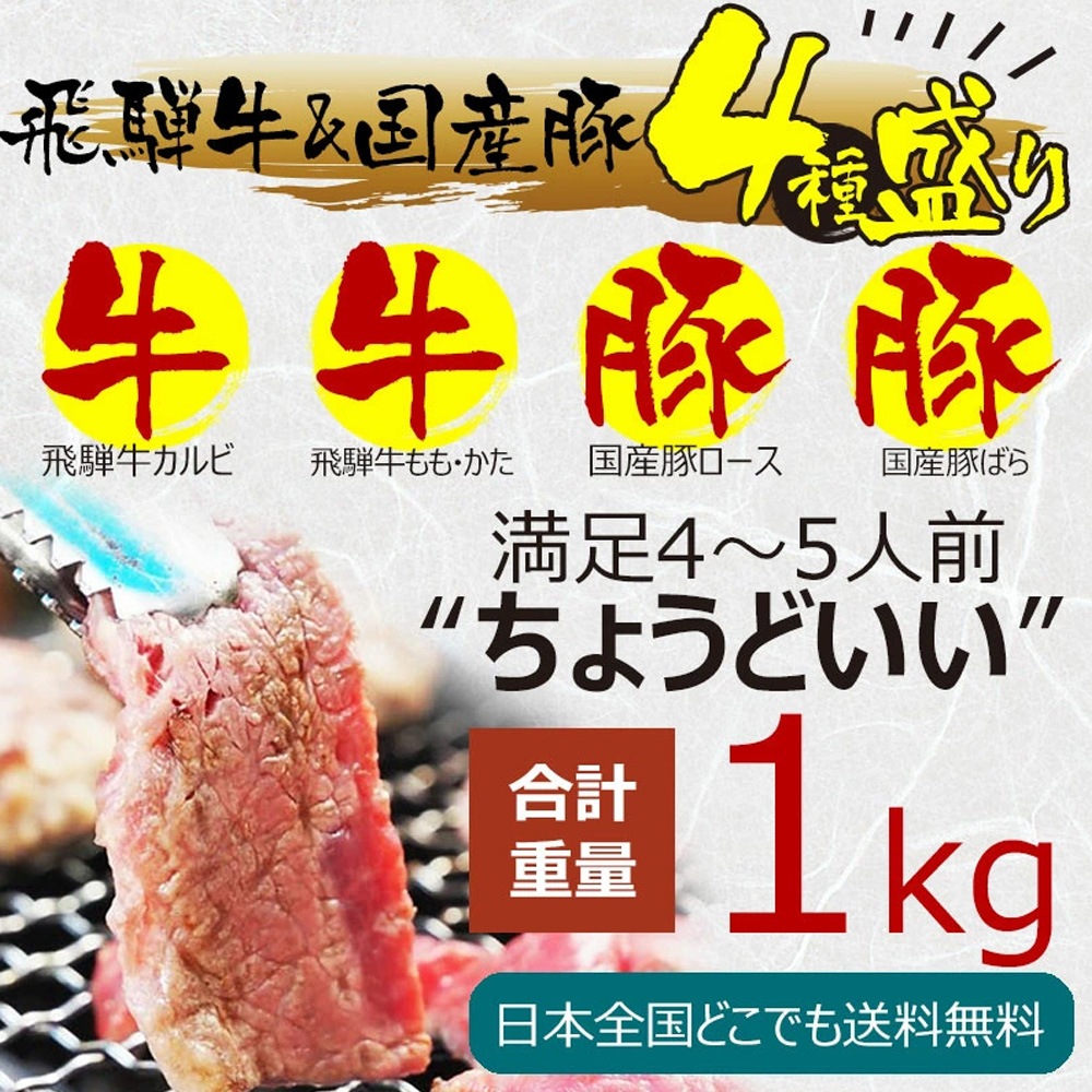 【送料無料】バーベキューセット 1kg(4~5人前)飛騨牛2種&国産豚肉2種 食べ比べ 焼肉 BBQ 肉セット ギフト