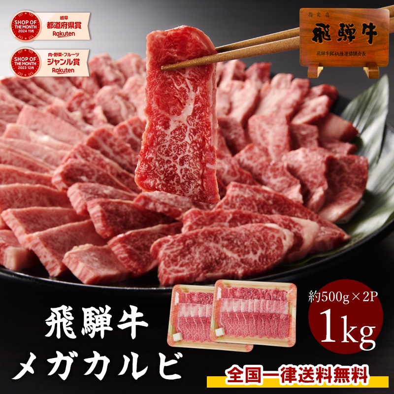 【送料無料】飛騨牛 焼肉 メガ盛り 1kg（500g×2）カルビ A4等級以上 BBQ バーベキュー 焼き肉 お取り寄せ ギフト