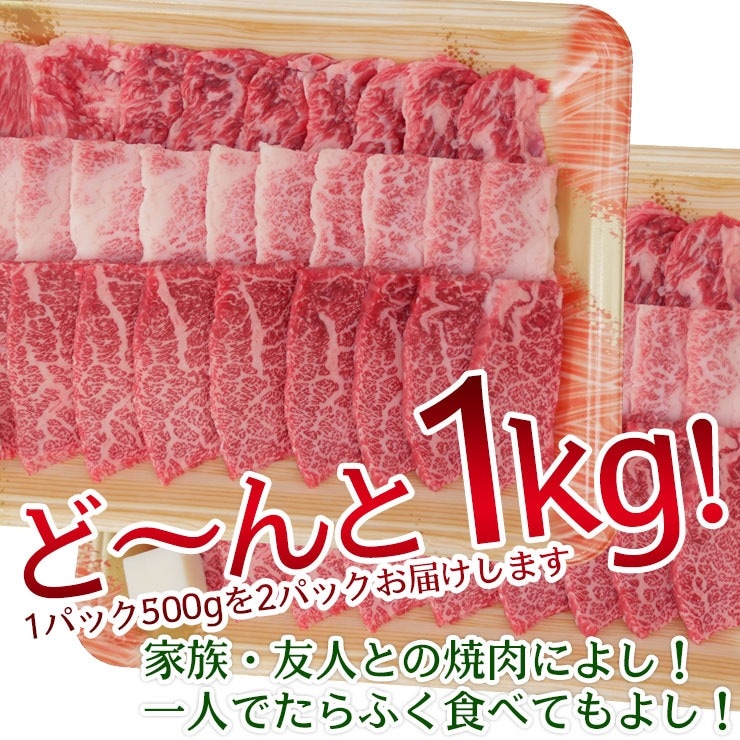飛騨牛 【メガ盛り】 カルビ 500ｇ × 2パック 合計1kg メガ盛りシリーズ おうち焼肉 冷凍