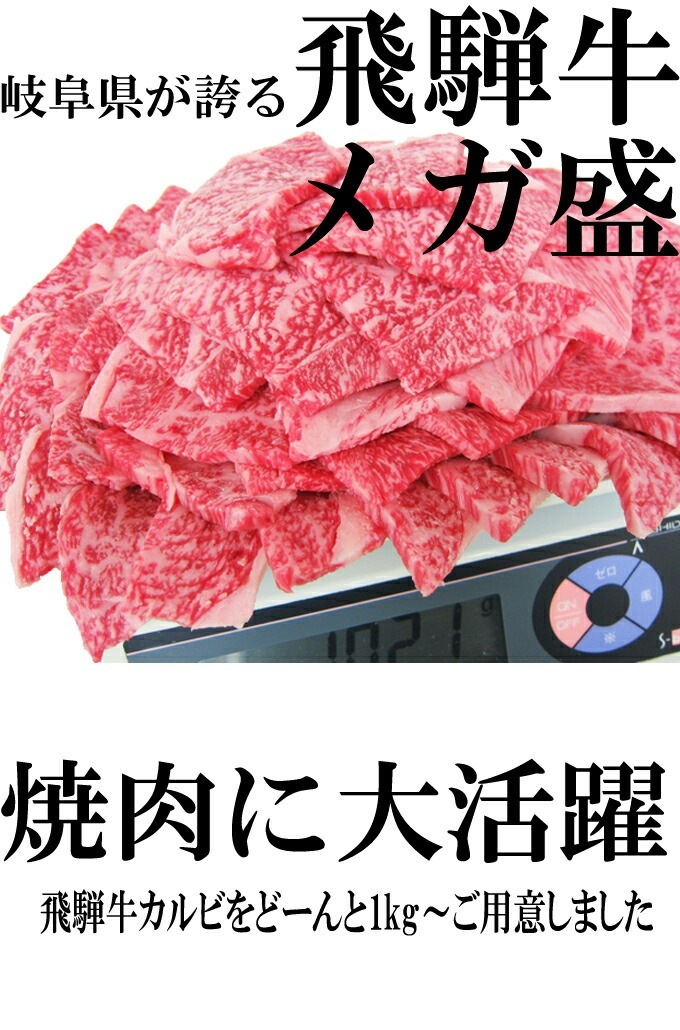 飛騨牛 【メガ盛り】 カルビ 500ｇ × 2パック 合計1kg メガ盛りシリーズ おうち焼肉 冷凍