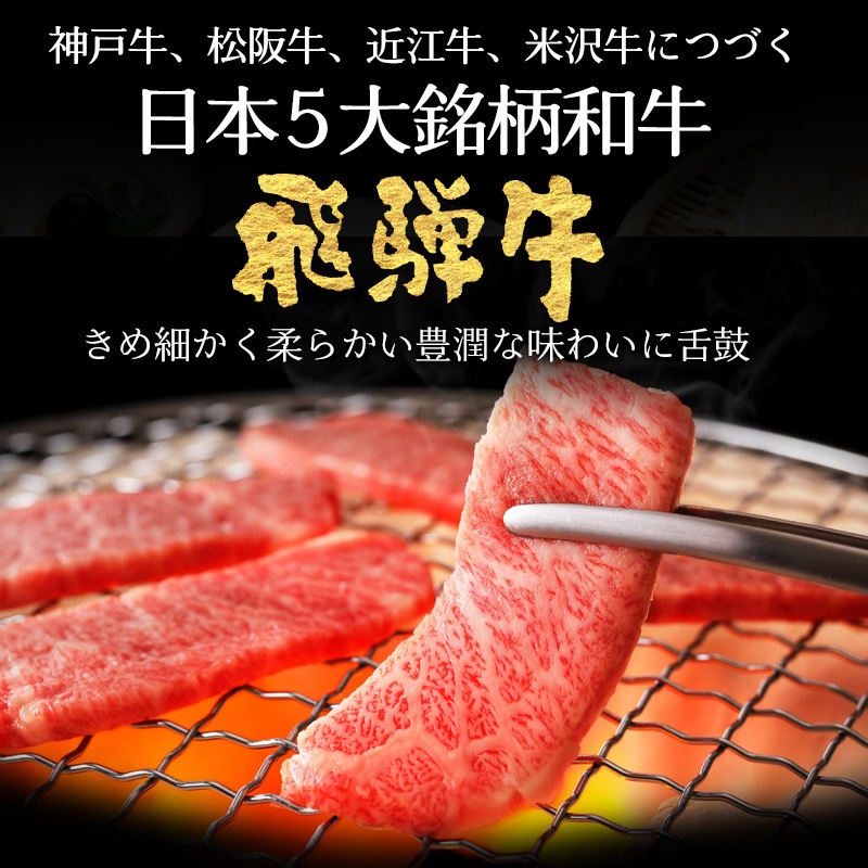 飛騨牛 【メガ盛り】 カルビ 500ｇ × 2パック 合計1kg メガ盛りシリーズ おうち焼肉 冷凍