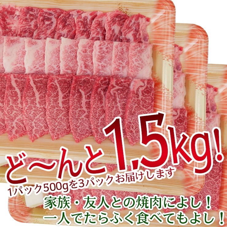 飛騨牛 【ギガ盛り】 カルビ 500ｇ × 3パック 合計1.5kg メガ盛りシリーズ おうち焼肉 冷凍<br>