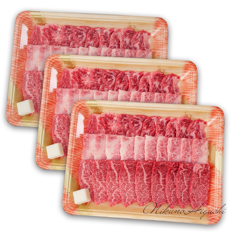 飛騨牛 【ギガ盛り】 カルビ 500ｇ × 3パック 合計1.5kg メガ盛りシリーズ おうち焼肉 冷凍<br>