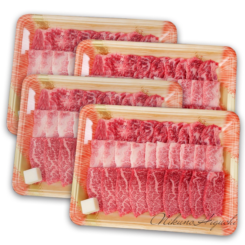飛騨牛 【テラ盛り】 カルビ 500ｇ × 4パック 合計2kg メガ盛りシリーズ おうち焼肉 冷凍<br>