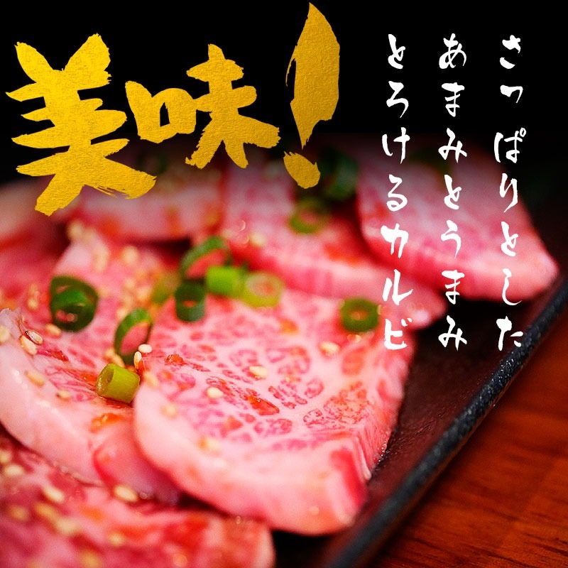 飛騨牛 【テラ盛り】 カルビ 500ｇ × 4パック 合計2kg メガ盛りシリーズ おうち焼肉 冷凍<br>