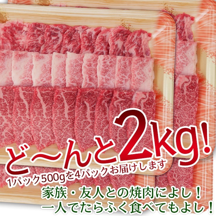 飛騨牛 【テラ盛り】 カルビ 500ｇ × 4パック 合計2kg メガ盛りシリーズ おうち焼肉 冷凍<br>