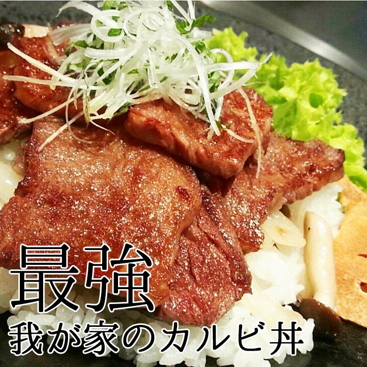 飛騨牛 【テラ盛り】 カルビ 500ｇ × 4パック 合計2kg メガ盛りシリーズ おうち焼肉 冷凍<br>