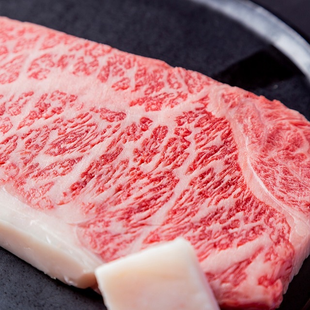 ������̵�������������٤륮�եȷ��������������ߥ�����