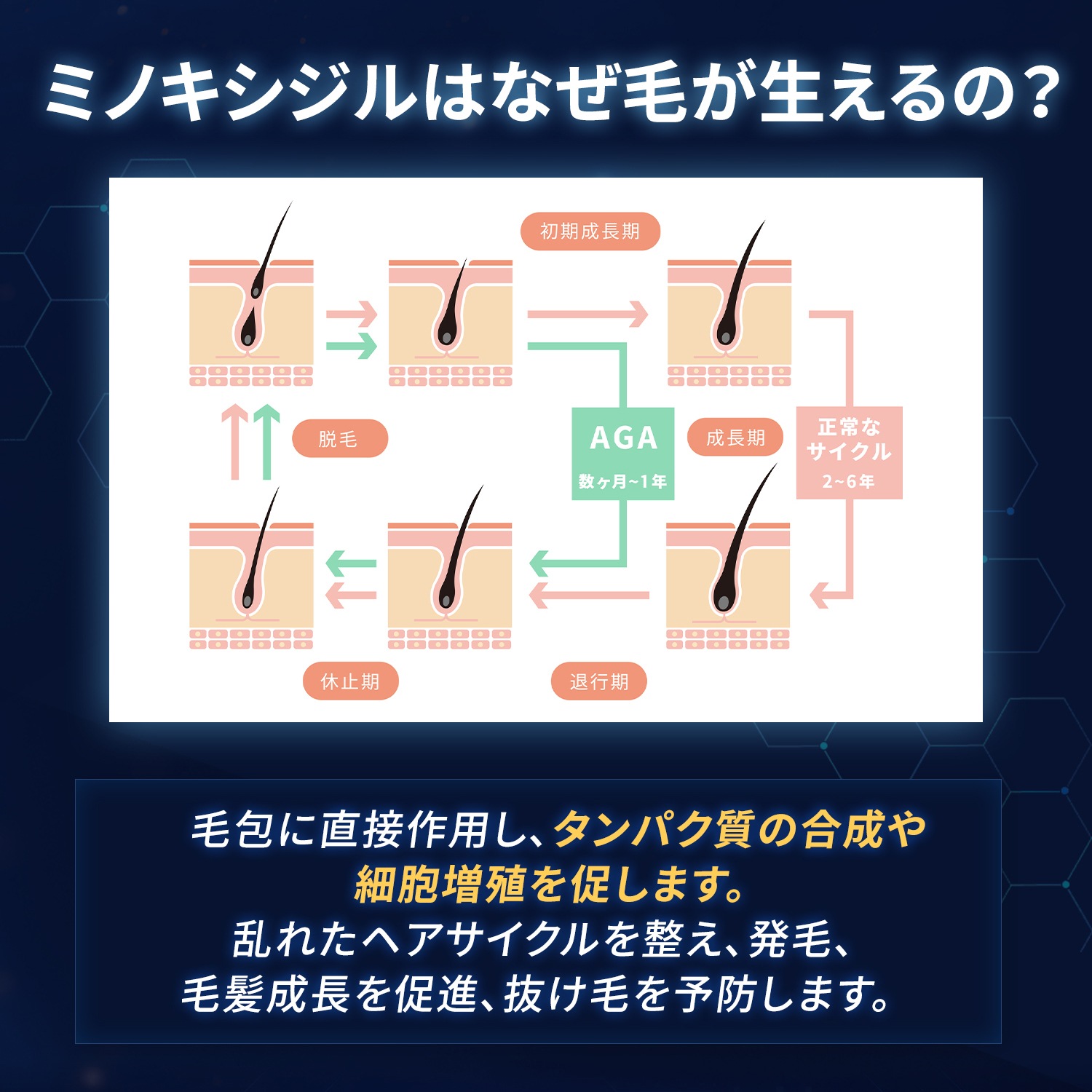 【第1類医薬品】ミノケア 3本セット 90日分 60ml | 発毛剤 育毛剤 ミノキシジル 国内最大濃度 5% 壮年性脱毛症 日本製