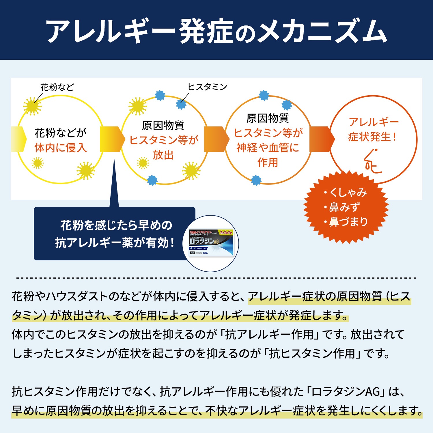 【第2類医薬品】ロラタジンAG 30錠 アレルギー専用鼻炎薬
