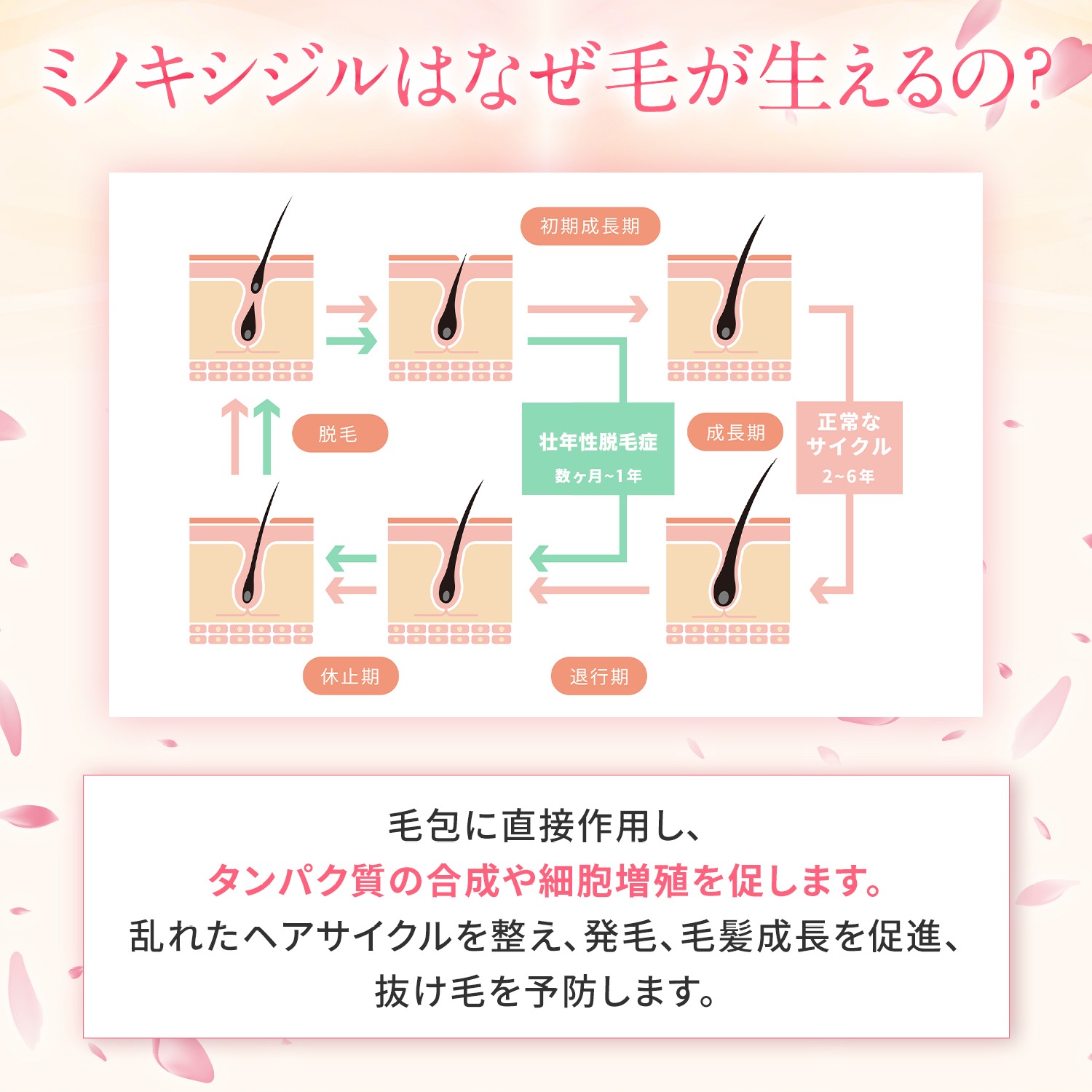 【第1類医薬品】MXプラスローションLa 60ml ミノキシジル 女性 ミノキシジル1% 医薬品 市販 発毛剤 女性用 40代 50代 60代