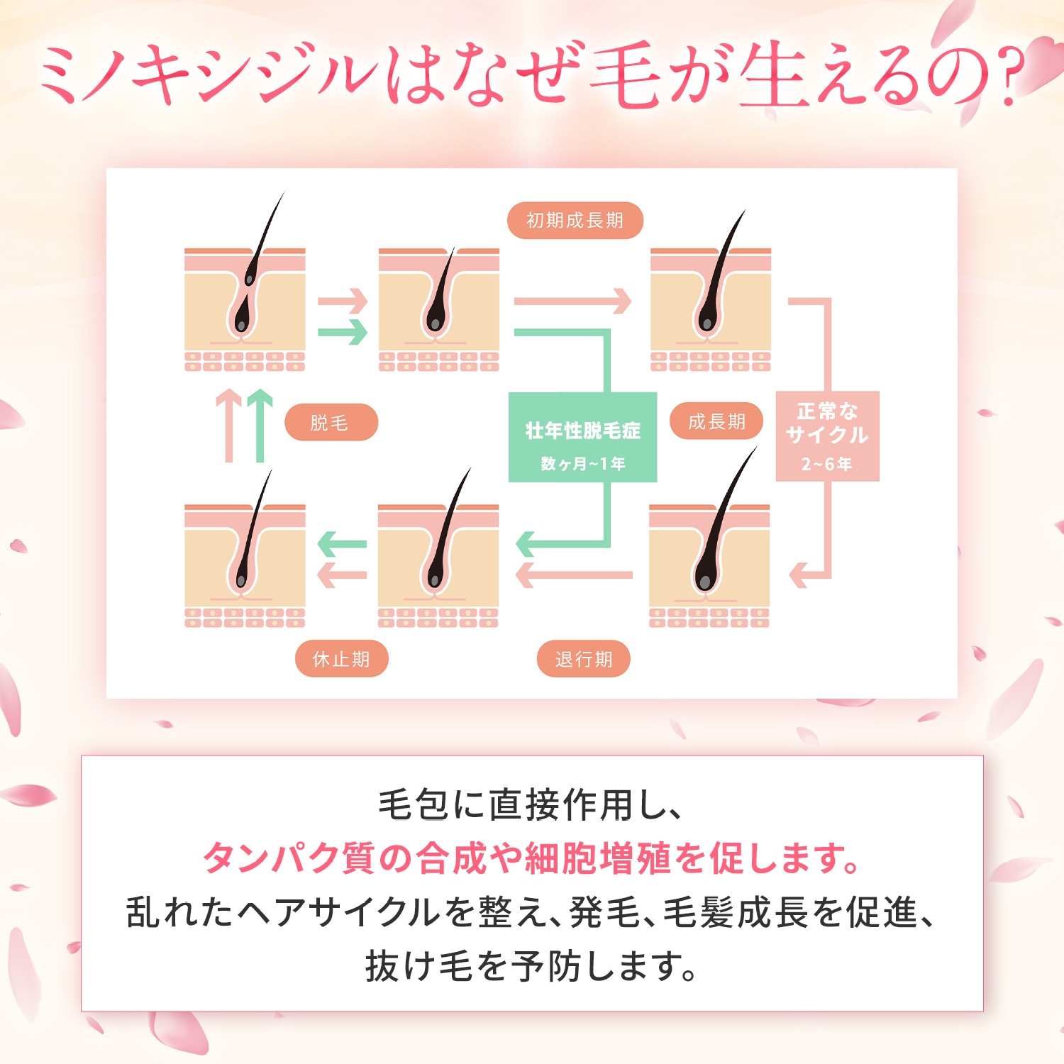 【第1類医薬品】MXプラスローションLa 60ml 3本セット | ミノキシジル 女性 ミノキシジル1% 医薬品 市販 発毛剤 女性用 40代 50代 60代