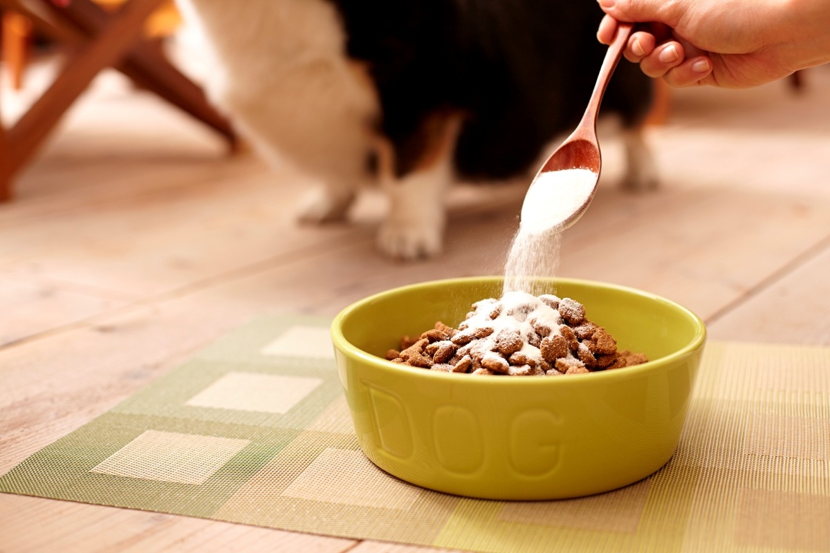 �ڸ��ѡۡ��������������á� 160g