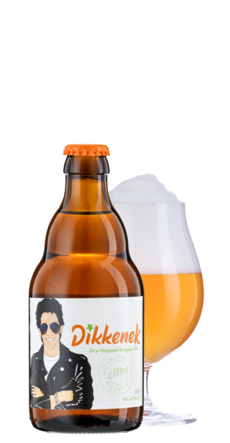 �ǥ����ͥ����ɣУ�