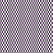 『矢羽』(アムンゼン128cm)