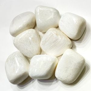 �ڥ쥢���ۥ����쥵���ȡ��᤭�С�����֥롡ŷ����