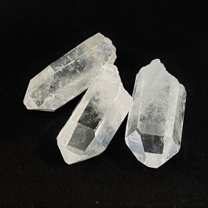 ����͵��ʤΤ��ɲá��ۿ徽���Хݥ���ȡ�1�����