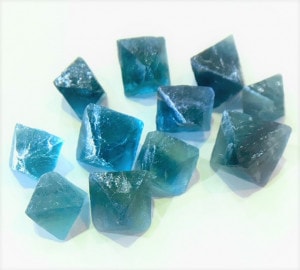 ١͵Ĥۥ֥롼ե饤ȸС8Ρ1