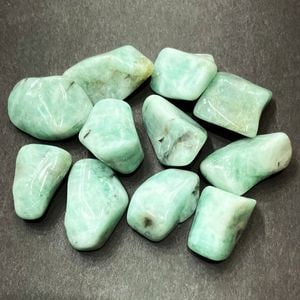 �����ò����ۥ�����ɡ��᤭�С�����֥롡1γ���